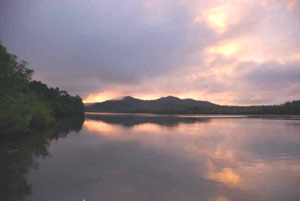 Sunset at the Rio Sierpe.